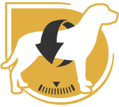 coat-health-bhn copy